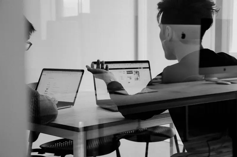 Three Stripes Digital team collaborating on a data-driven marketing strategy