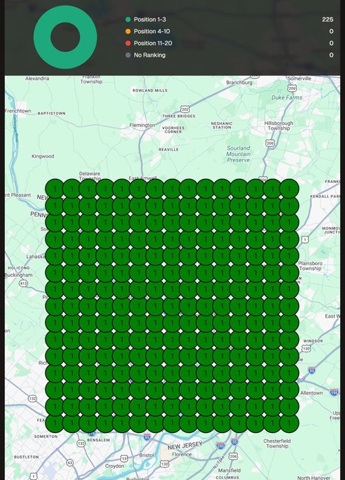 Cruz Gold & Associates: the grid scan after the campaign, position 1 at every scanned search location